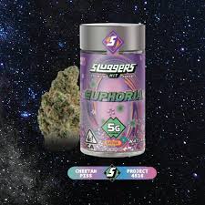 Sluggers Hit 5G Assorted Flowers